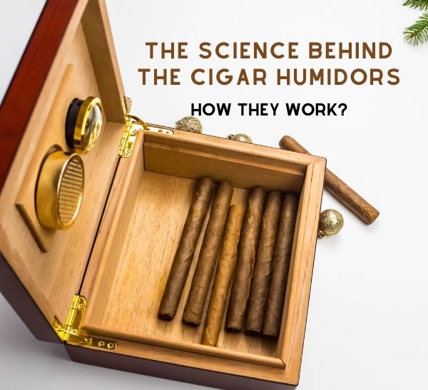 Cigar Hygrometer Cigar Humidifier Round Hygrometer for Tobacco Moisturizing  Increased Humidity for Cigar Box