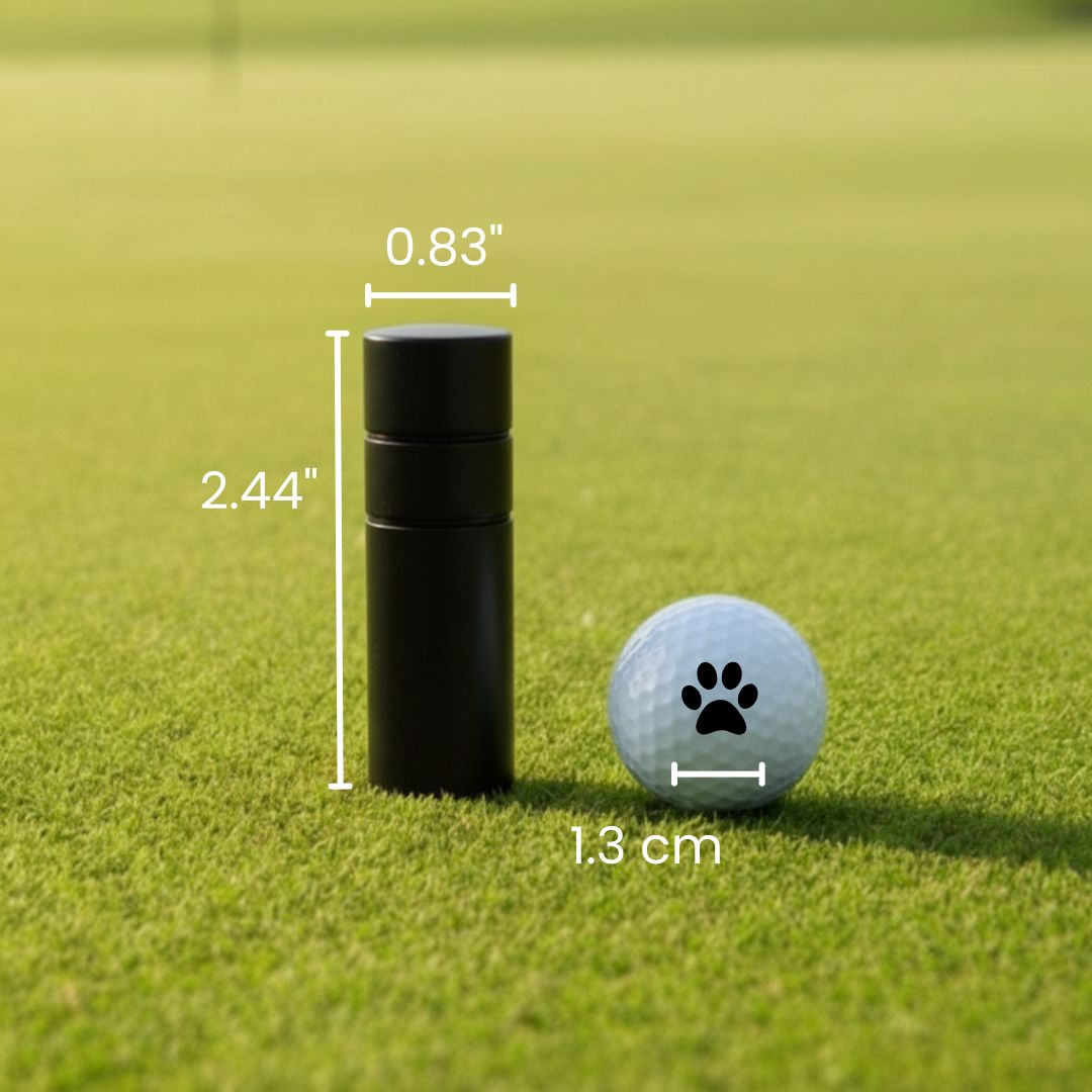 Fairway Fun Ball Stamp Set