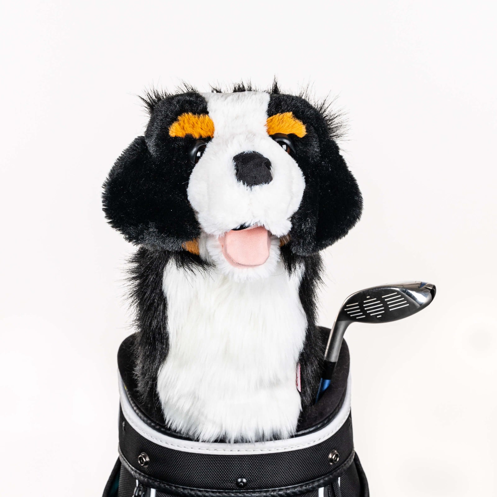 Plush Bernese mountain dog golf headcover covering a club in a golf bag, a standout golf gift for men from Groovy Guy Gifts