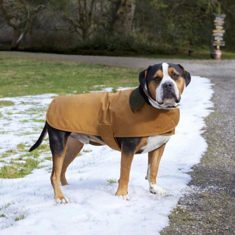 Unique Personalized Carhartt Dog Coat Customized Dog Gifts for Men by Groovy Guy