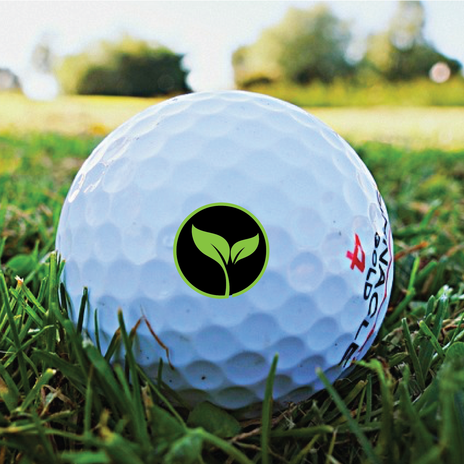 Unique Personalized Custom Logo Golf Balls - Your Brand, Your Game! Customized Golf Gifts for Men by Groovy Guy