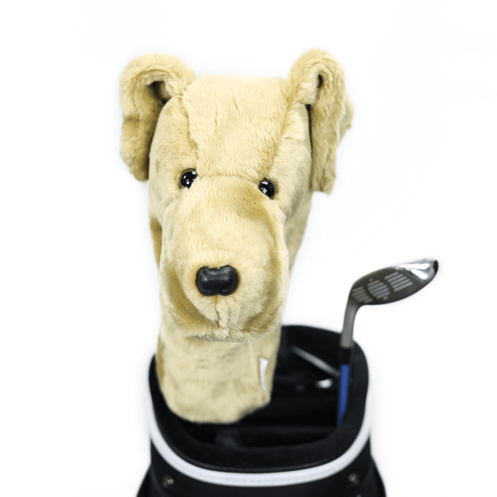 Plush yellow Labrador golf headcover covering a club in a golf bag, a standout golf gift for men from Groovy Guy Gifts