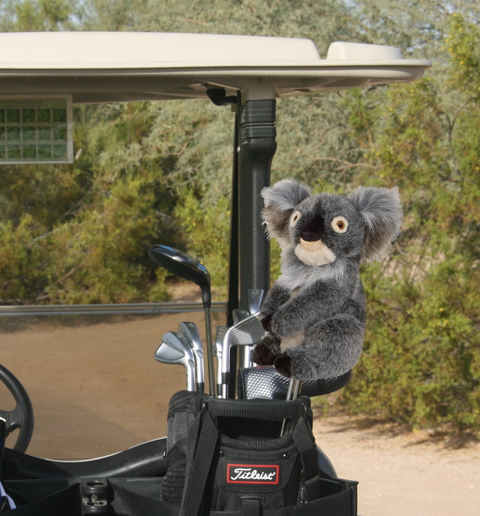 Unique Personalized Koala Golf Headcover Customized Golf Head Covers Gifts for Men by Groovy Guy