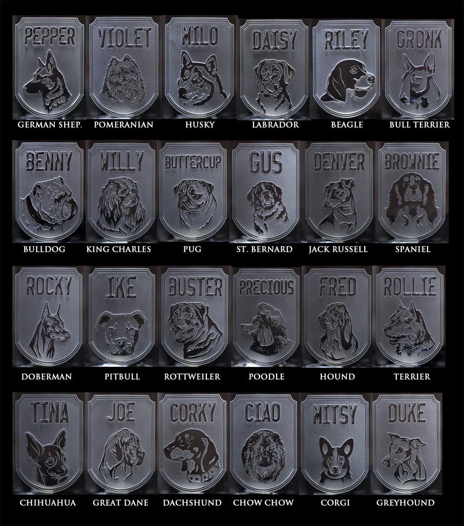 Unique Personalized Man's Best Friend Pint Glass Customized pint glass Gifts for Men by Groovy Guy