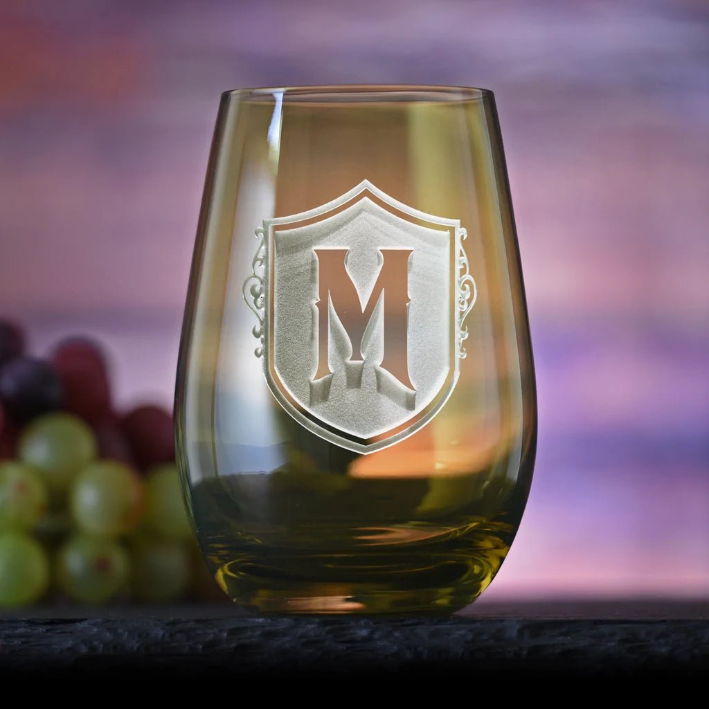 Unique Personalized Monogrammed Stemless Wine Glass Customized Drinkware Gifts for Men by Groovy Guy