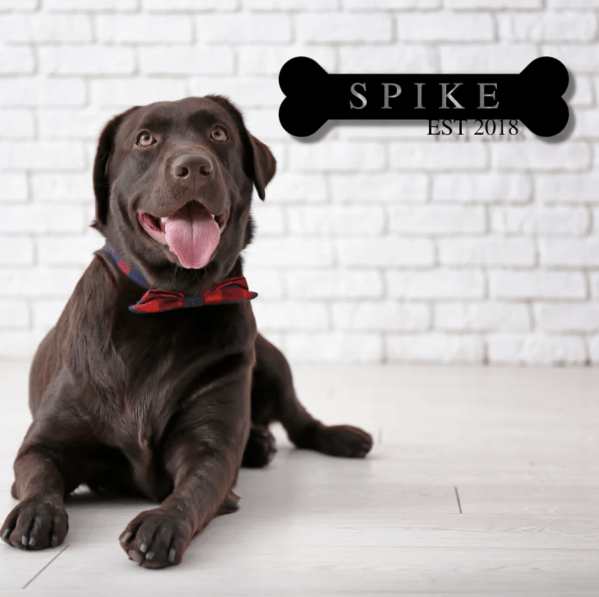 Custom Dog Metal Sign