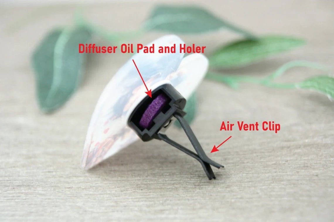 Unique Personalized Photo Car Air Freshener Customized Anniversary Gifts for Men by Groovy Guy