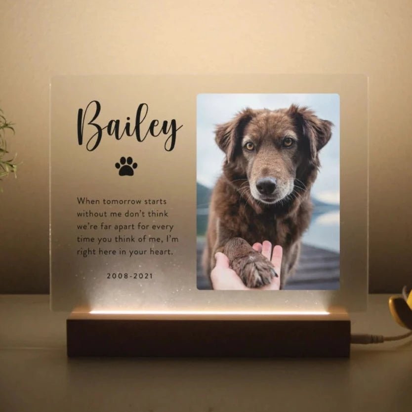 Personalized Pet Memorial Plaque - Light Up Custom Sign for Dogs, Cats, and All Pets