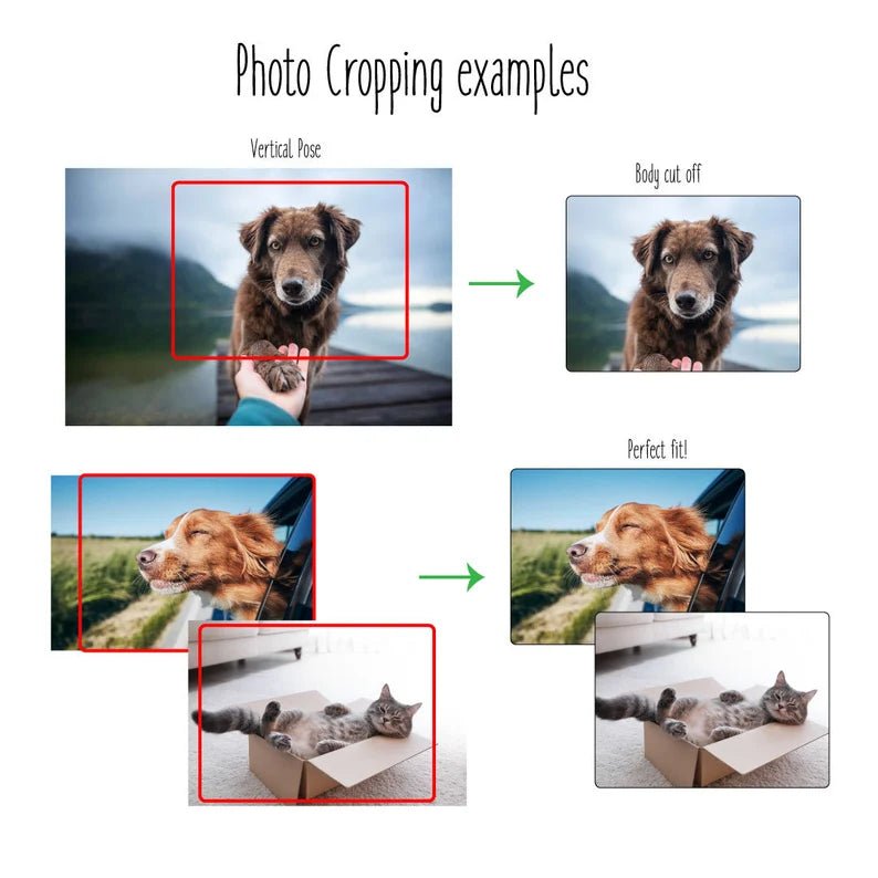 Unique Personalized Custom Pet Memorial Plaque Customized Gifts for Men by Groovy Guy