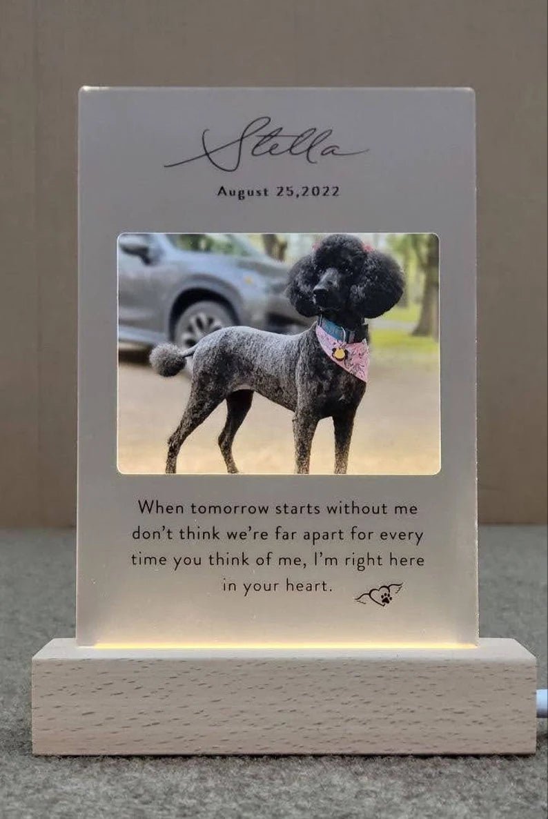 Unique Personalized Custom Pet Memorial Plaque Customized Gifts for Men by Groovy Guy