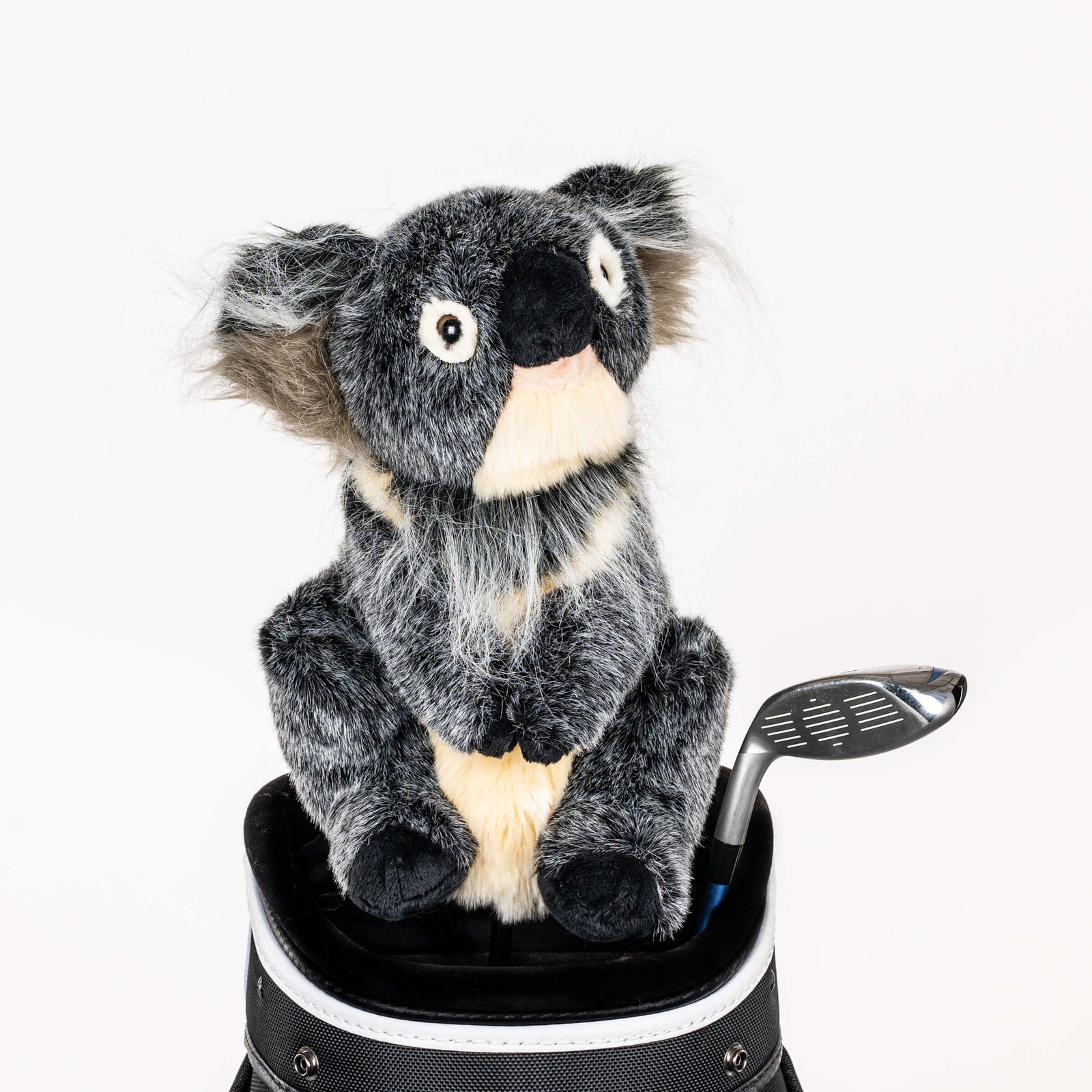 Plush koala golf headcover covering a club in a golf bag, a standout golf gift for men from Groovy Guy Gifts