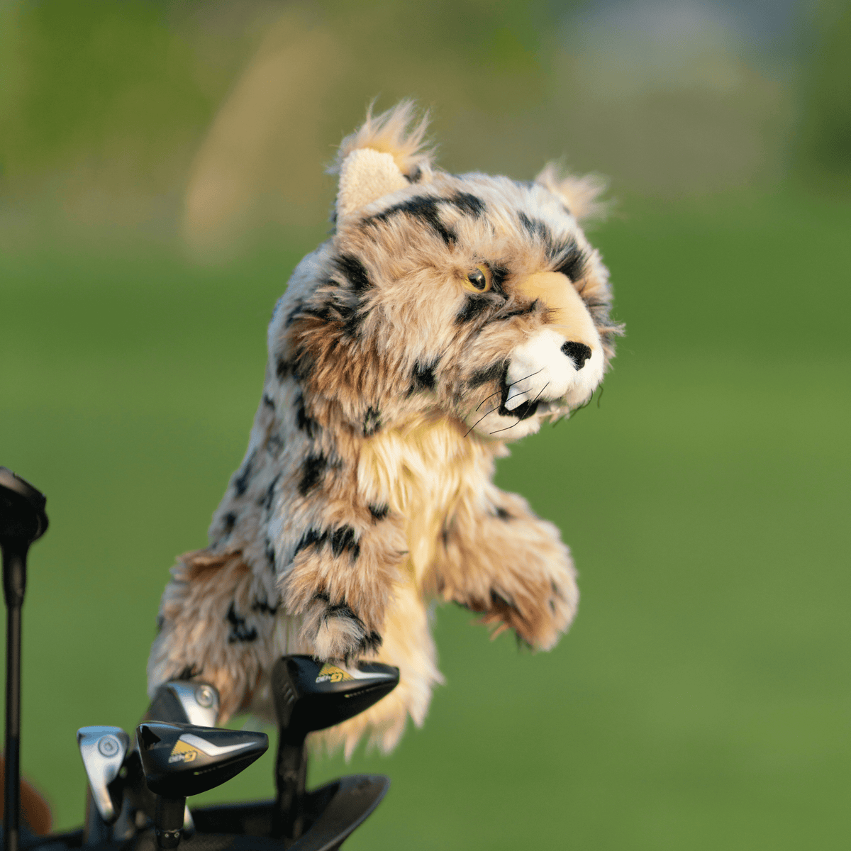 Bobcat plush golf headcover for drivers up to 460cc, photographed on a plain background