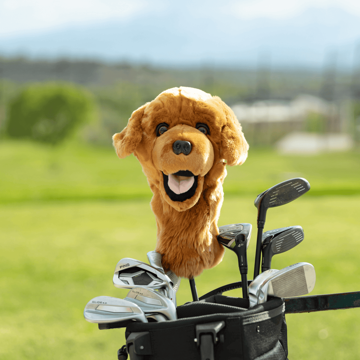 Golden retriever plush golf headcover for drivers up to 460cc, photographed on a plain background