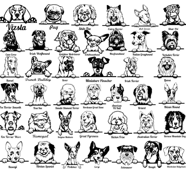 Unique Personalized Custom Dog Door Mat Customized housewarming gift Gifts for Men by Groovy Guy