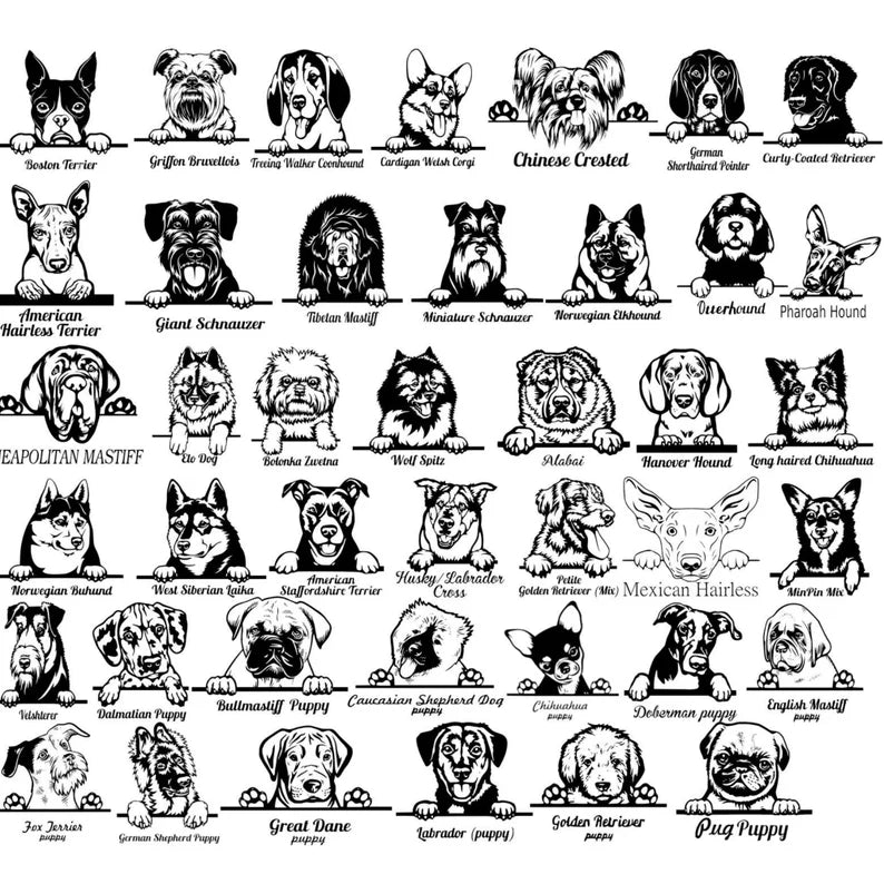 Unique Personalized Custom Dog Door Mat Customized housewarming gift Gifts for Men by Groovy Guy