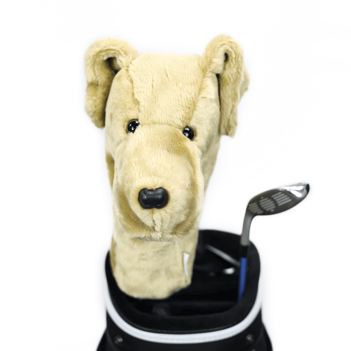 Plush yellow Labrador golf headcover covering a club in a golf bag, a standout golf gift for men from Groovy Guy Gifts