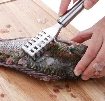 Fish Scalers Scraper Brush
