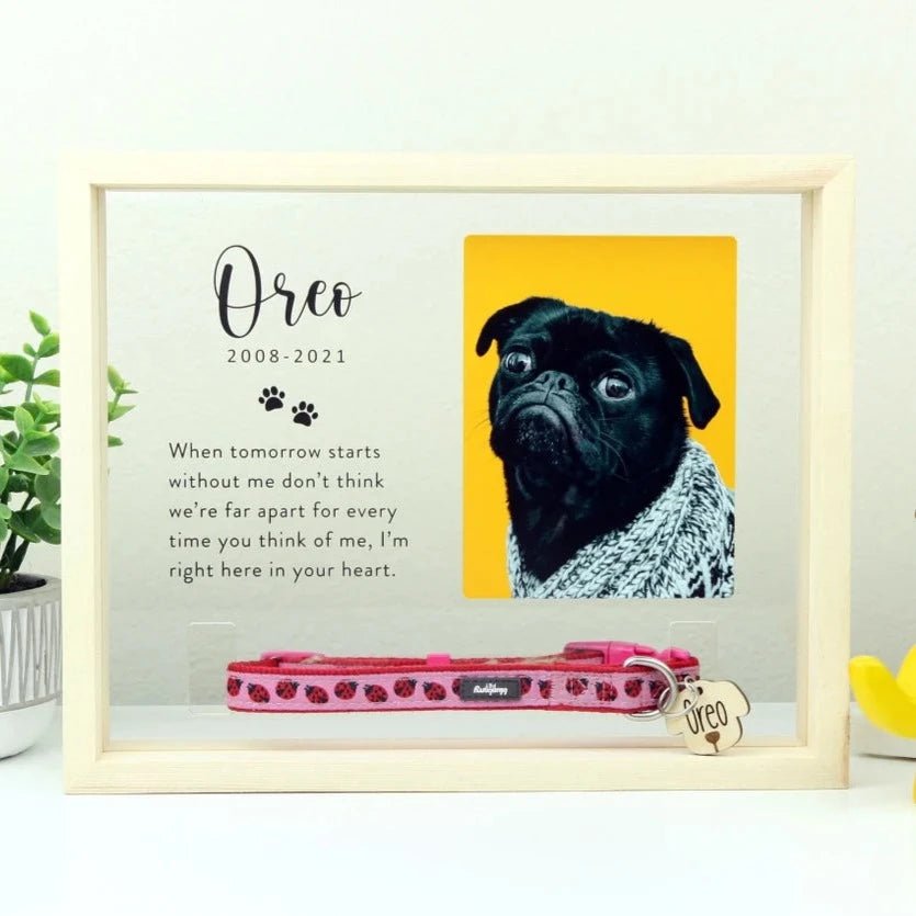 39 Best Pet Memorial Gifts to Remember Your Beloved Companion
