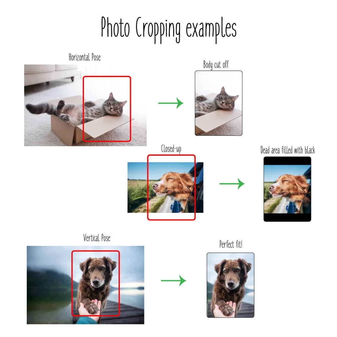 Unique Personalized Light Up Pet Memorial Plaque Customized Gifts for Men by Groovy Guy