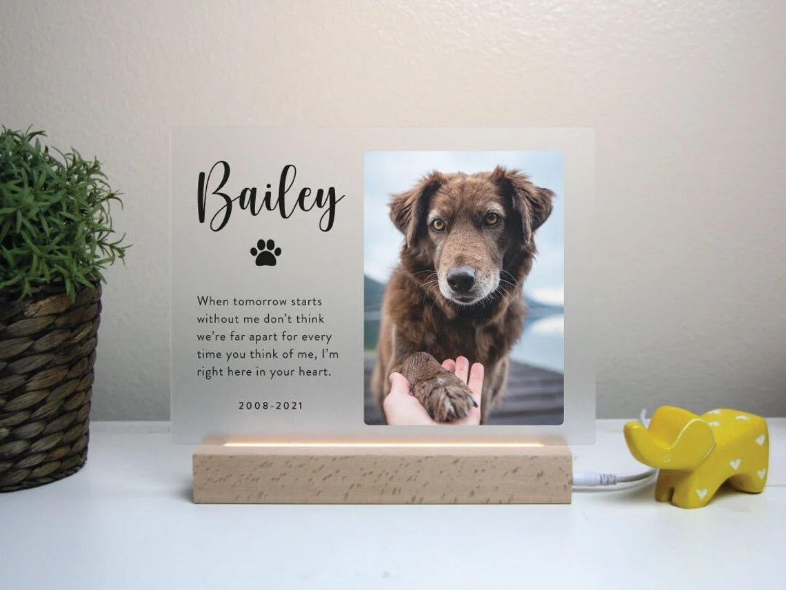 Unique Personalized Light Up Pet Memorial Plaque Customized Gifts for Men by Groovy Guy