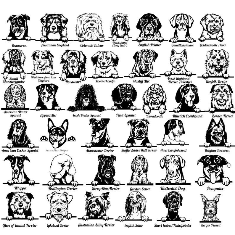 Unique Personalized Custom Dog Metal Sign Customized Pub Signs Gifts for Men by Groovy Guy