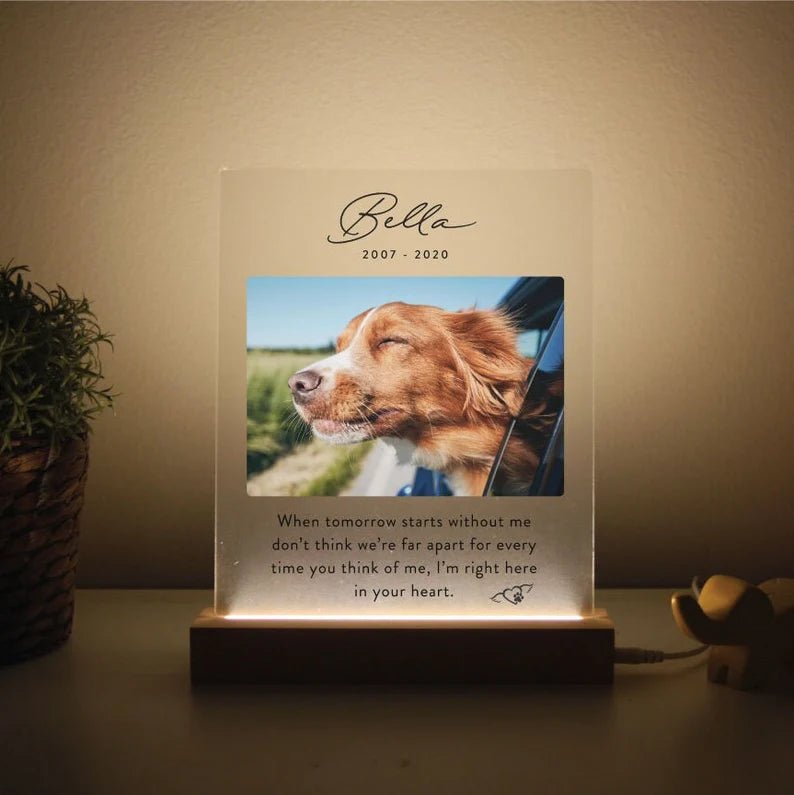 Unique Personalized Custom Pet Memorial Plaque Customized Gifts for Men by Groovy Guy