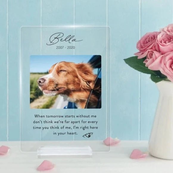Unique Personalized Personalized Pet Memorial Plaque Customized Gifts for Men by Groovy Guy