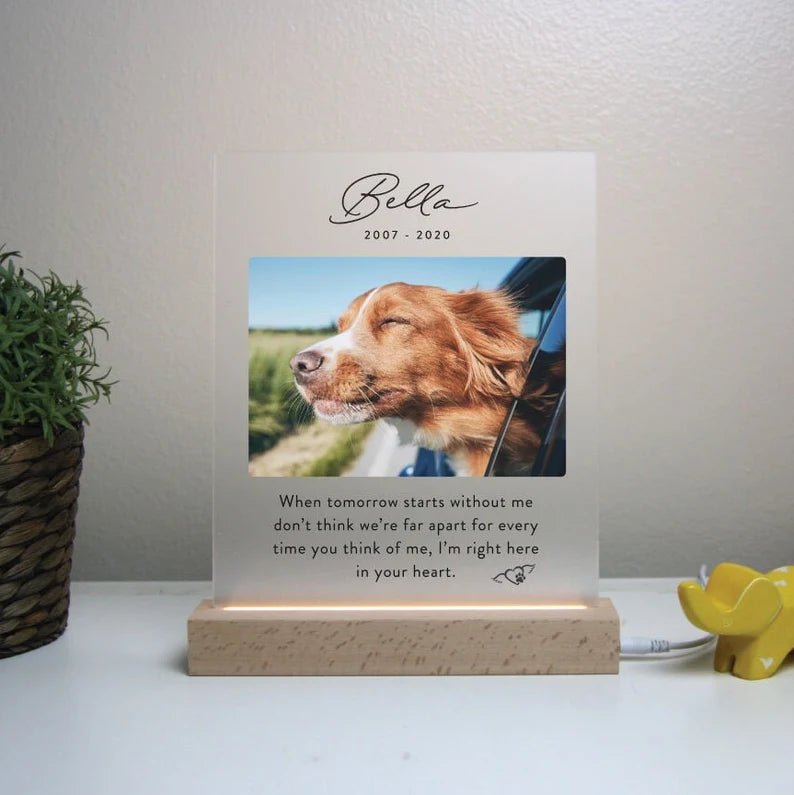 Unique Personalized Custom Pet Memorial Plaque Customized Gifts for Men by Groovy Guy
