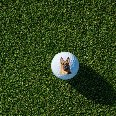 Custom Pet Golf Ball